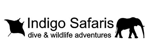 Indigo Safaris