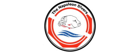 The Napoleon Divers