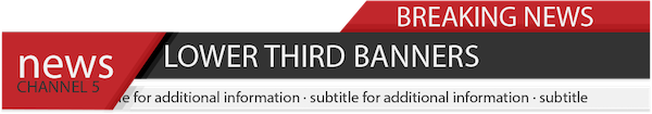Vidsnatcher 2.0 banner 2