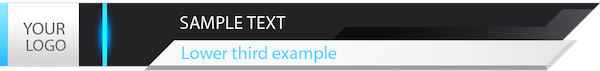 Vidsnatcher 2.0 banner 4