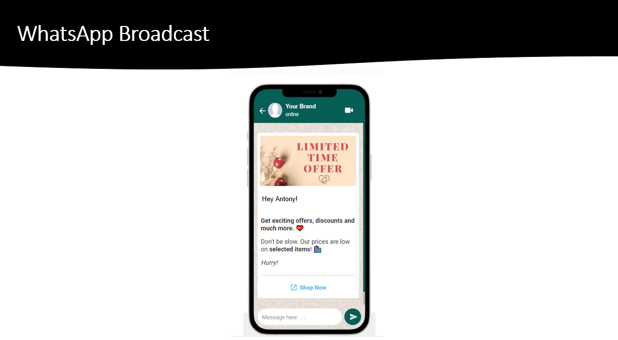 WhatsApp Broadcast