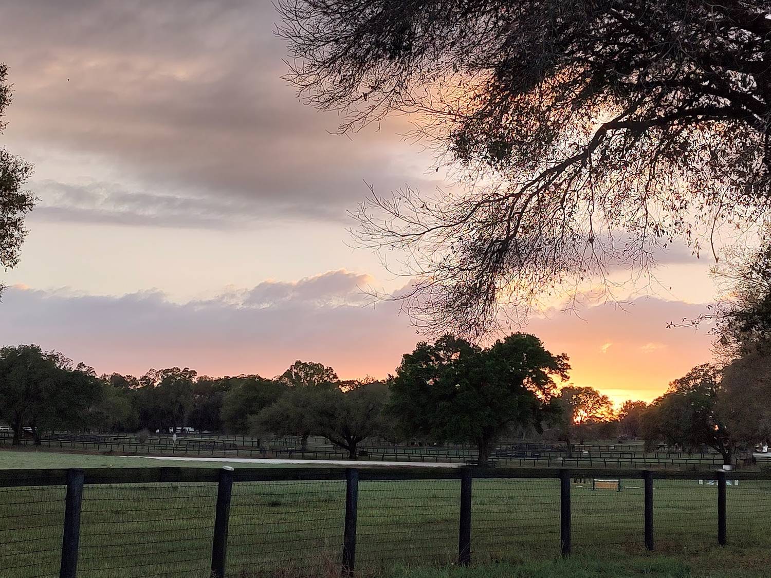 Ocala Area Stalls Ocala/Reddick Florida