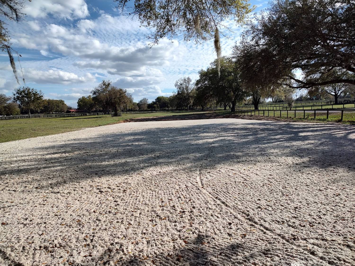 Ocala Area Stalls Ocala/Reddick Florida