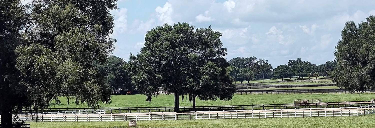Ocala Area Stalls Ocala/Reddick Florida