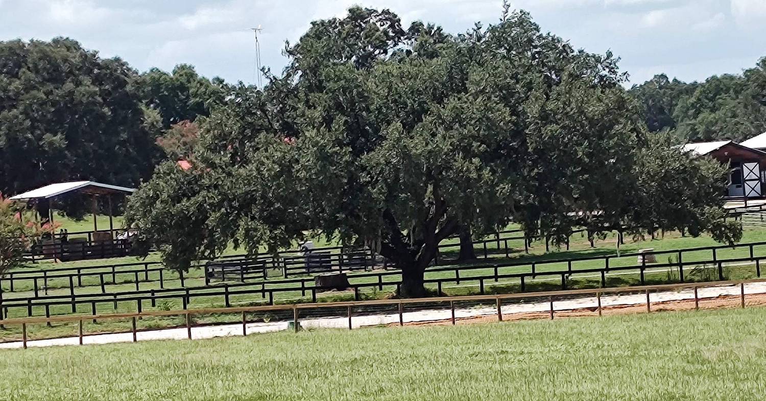 Ocala Area Stalls Ocala/Reddick Florida