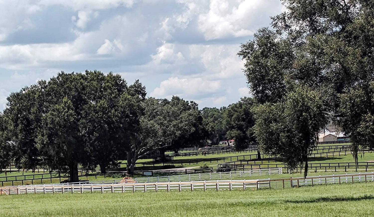 Ocala Area Stalls Ocala/Reddick Florida