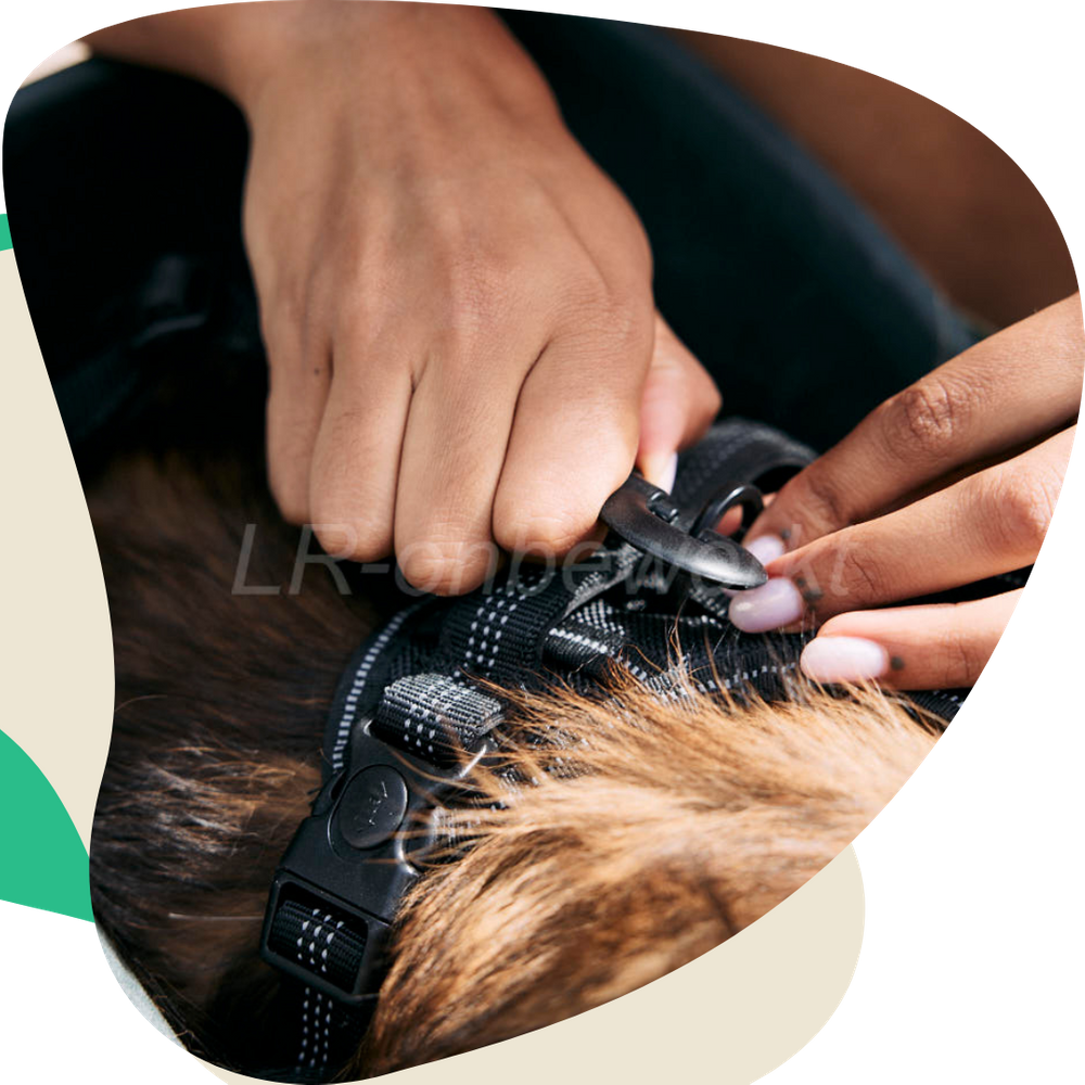 Kvisp The DogCentric Bike Seat Get Your Bike Seat For Dogs Now