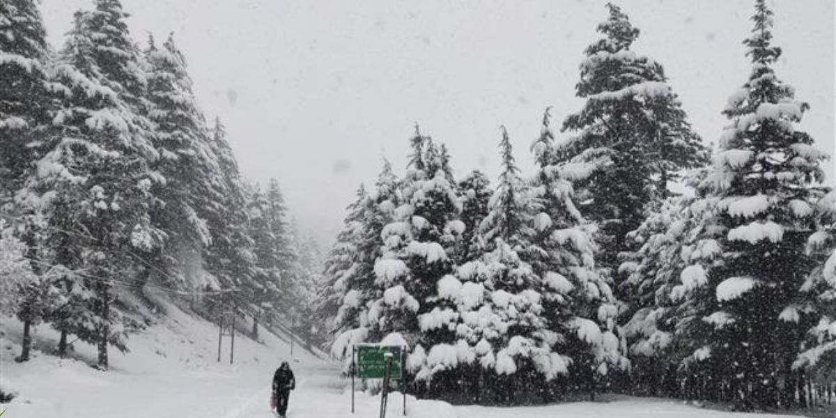 snowfall in narkanda