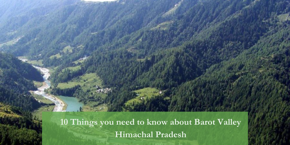 Barot valley himachal
