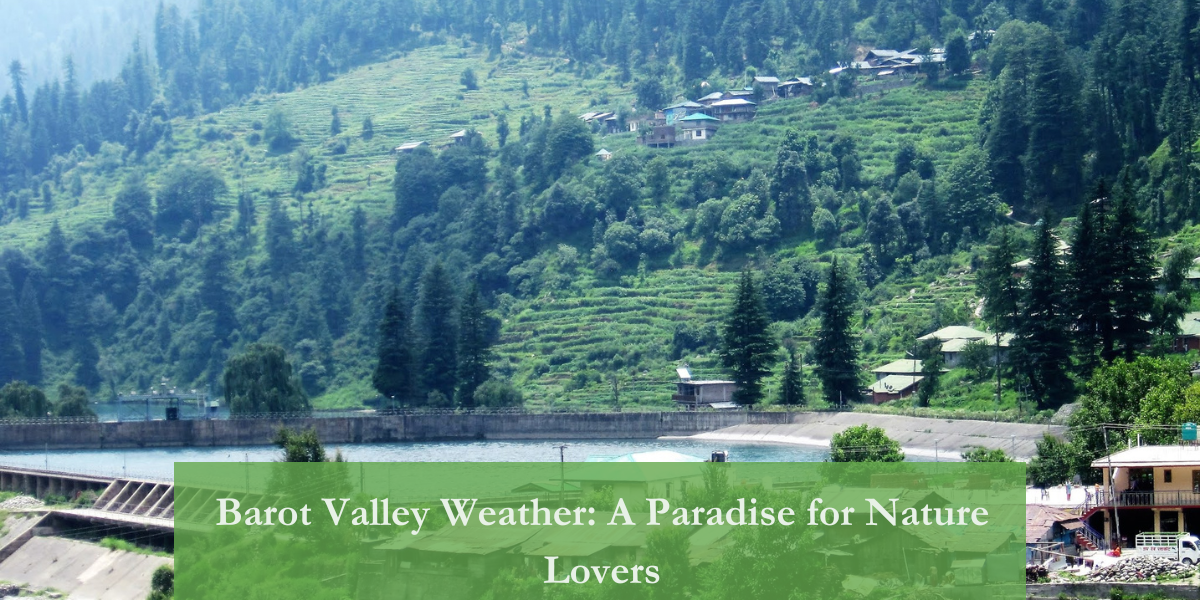 Barot Valley Weather