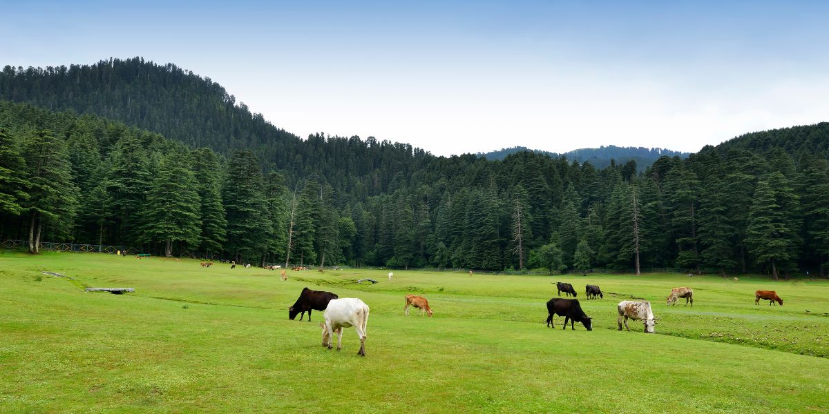 Tourist Places in Himachal Pradesh