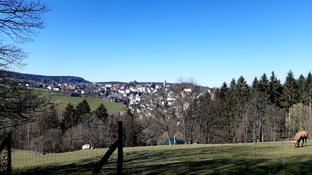 Gemeinde Grünhainichen Ausblick 