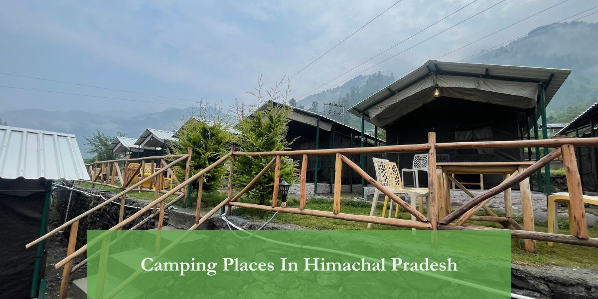 Barot valley himachal