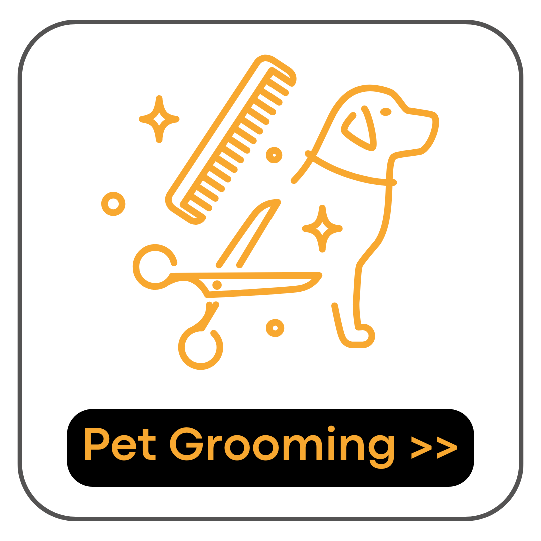WhatsApp Marketing for pet grooming clinics