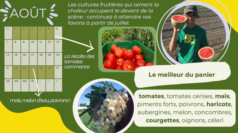 calendrier