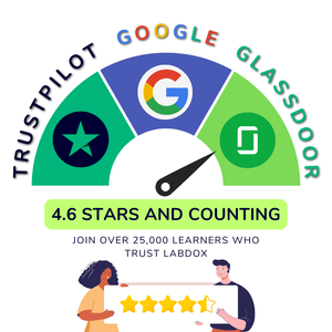 Google Review Satisfaction Rating