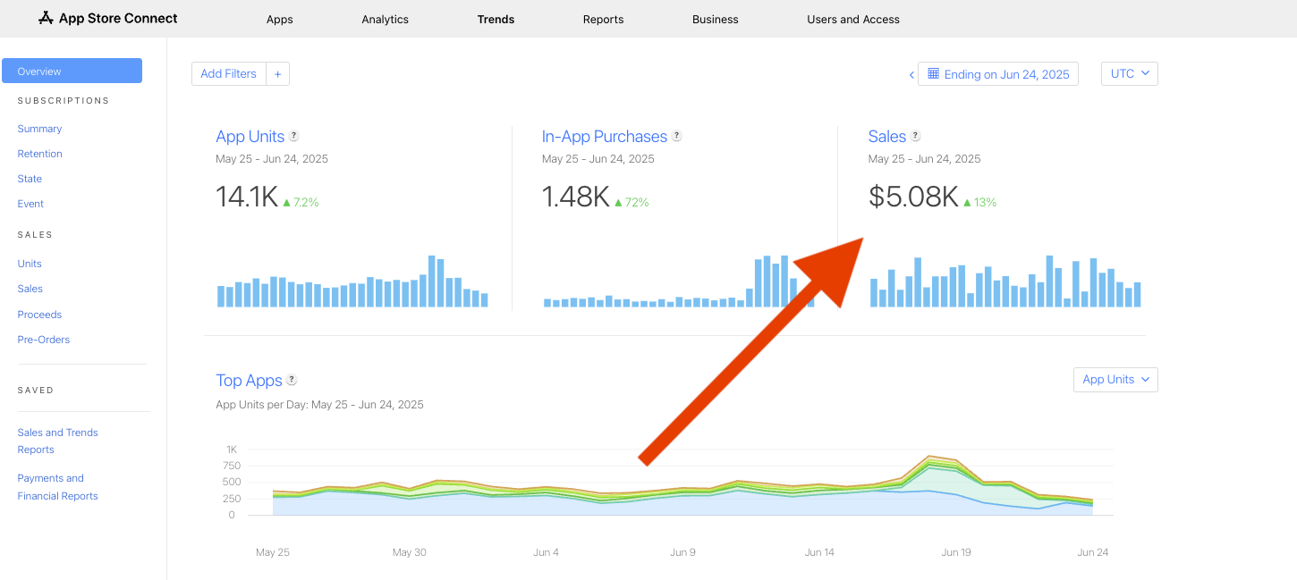 saas revenue screenshot