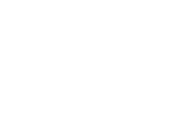 Mental Detox Logo