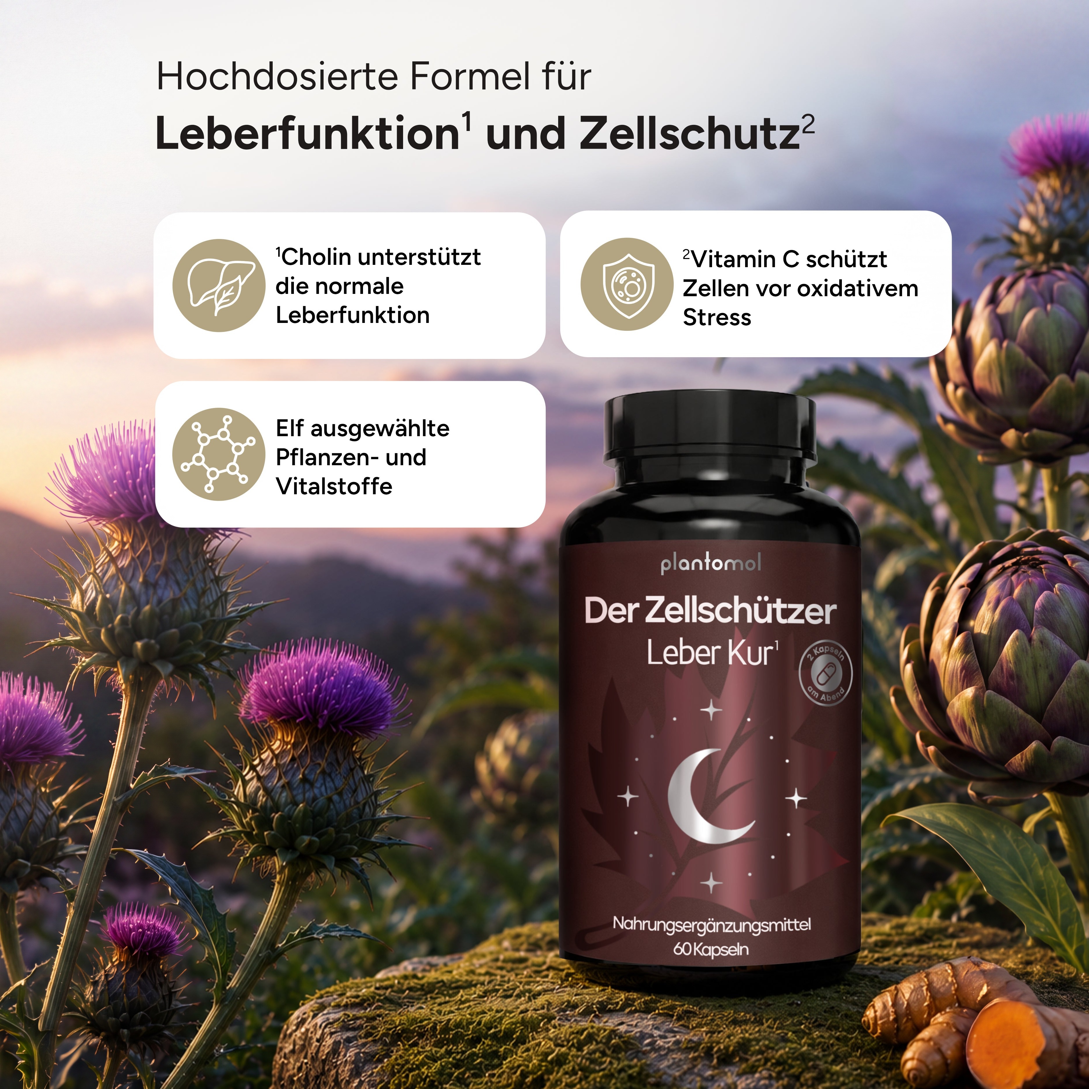 plantomol Zellschützer mit Artischocke in Natur