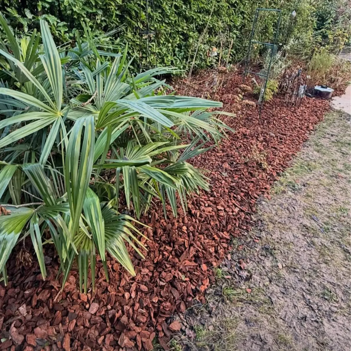 Jardin après aménagement 1