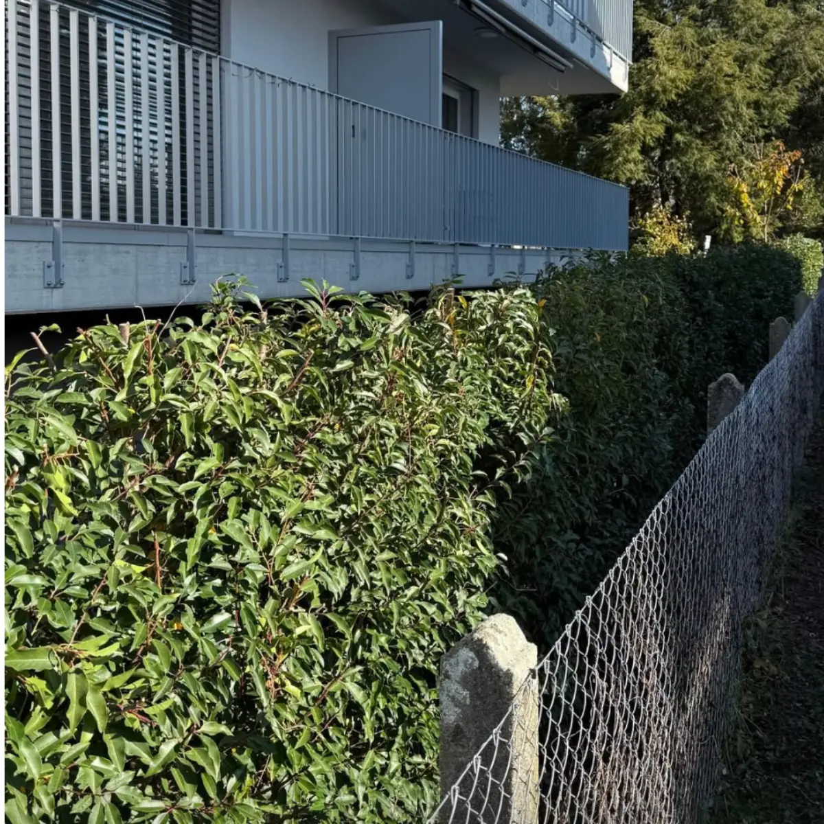 Terrasse italienne après