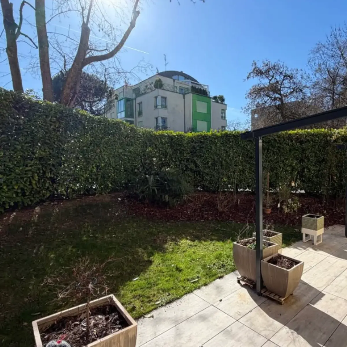 Pelouse verte après