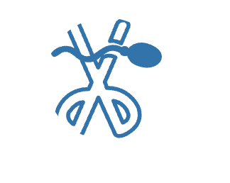 Vasectomy