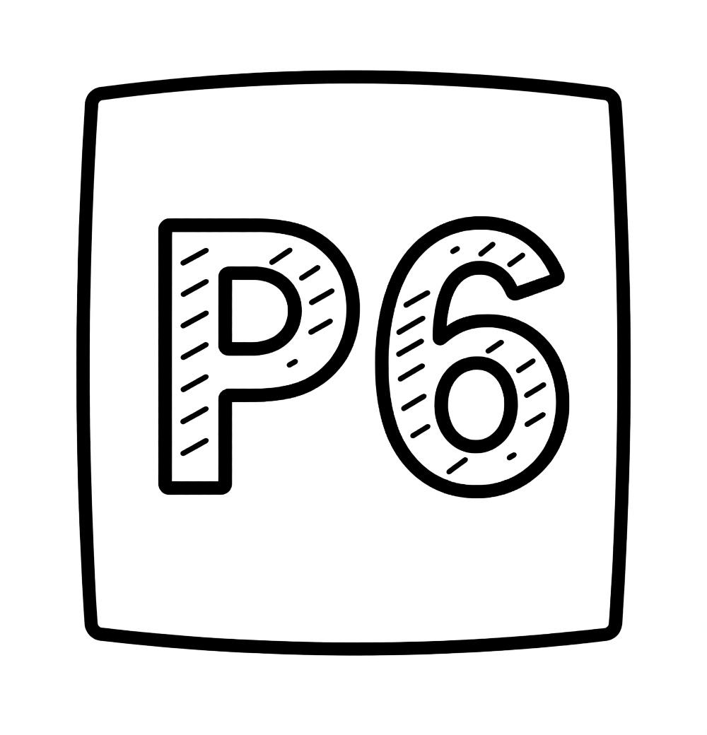 P6