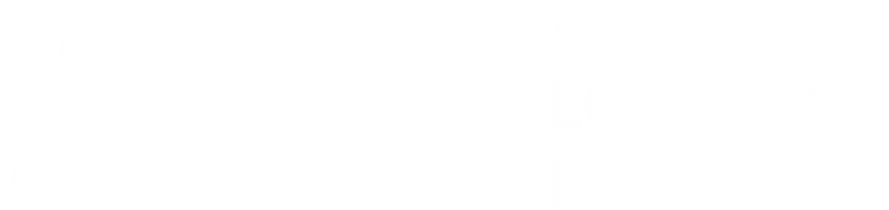 Ally Logistic Property Logo