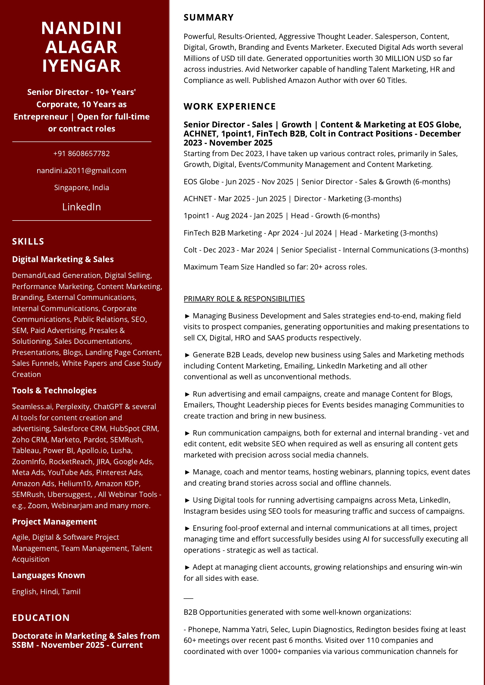 Visual Infographic Resume