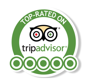 TripAdvisor Rating
