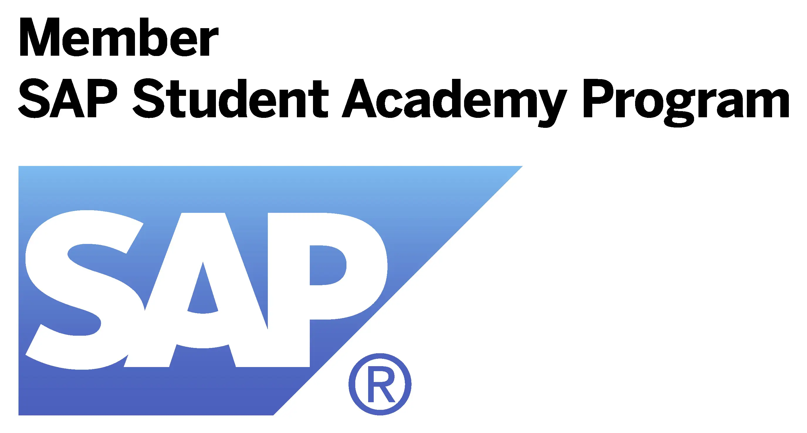 SAP Partner