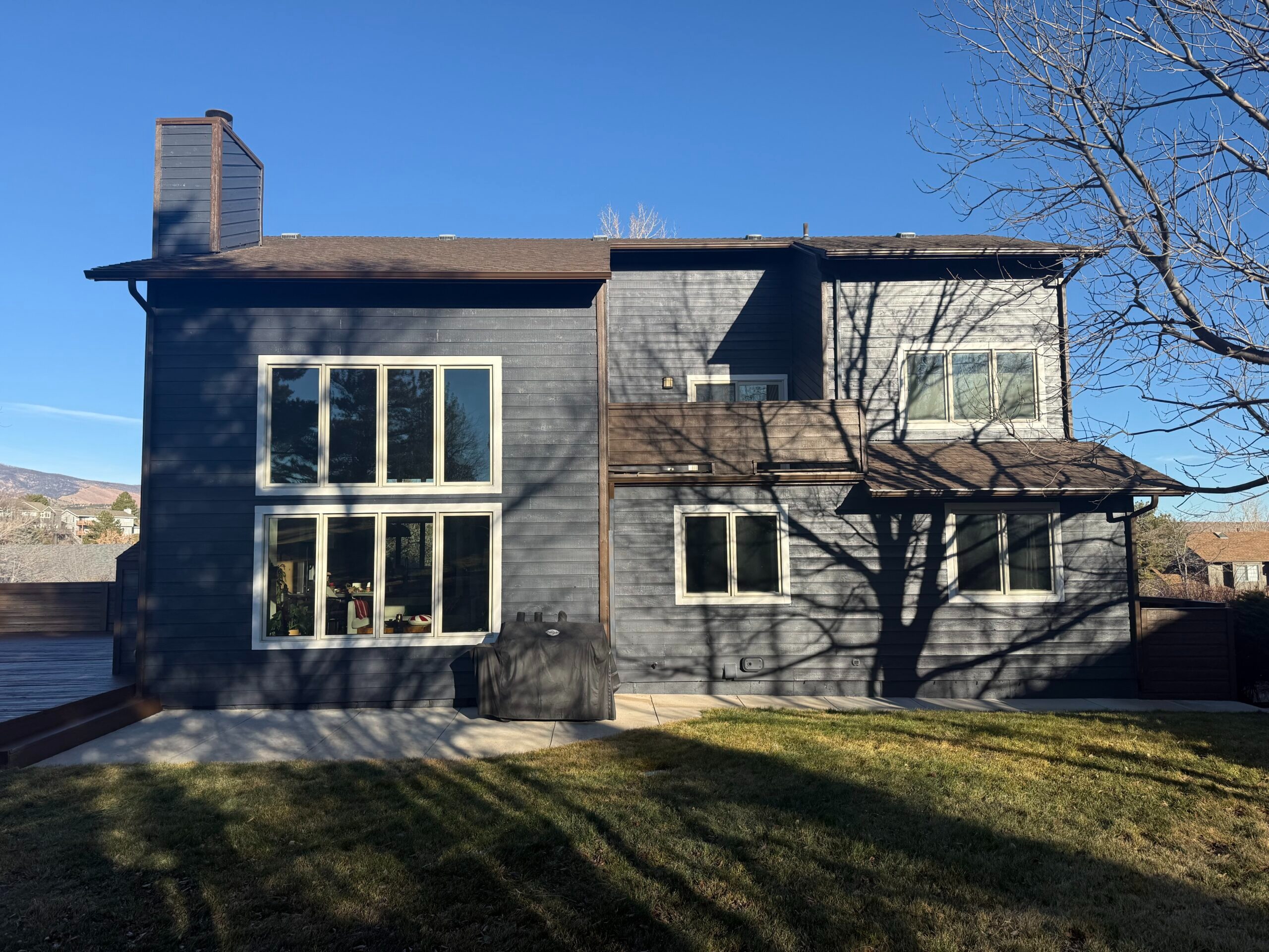 Elements Painting Project