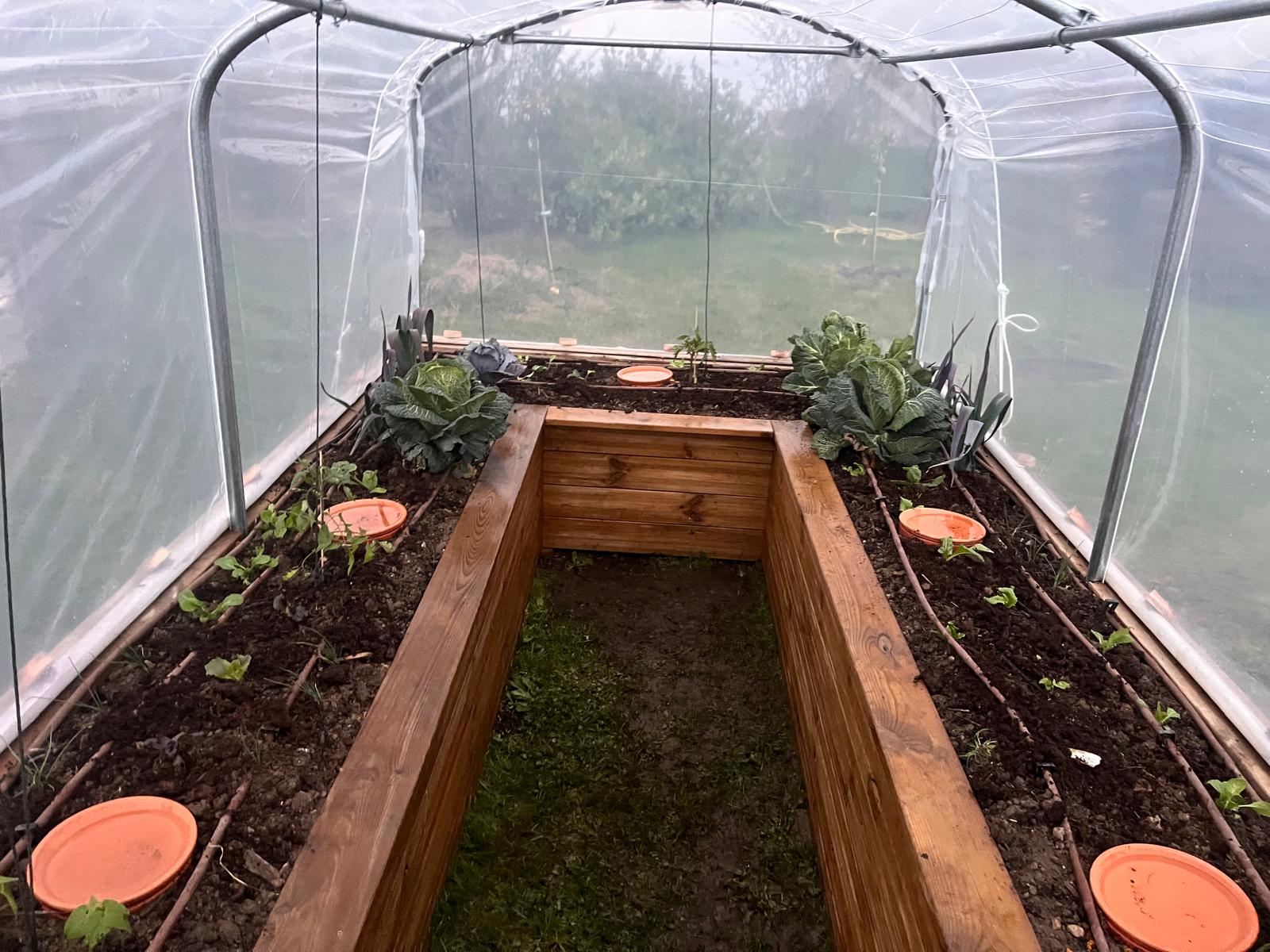 Vue intérieure des bacs de culture