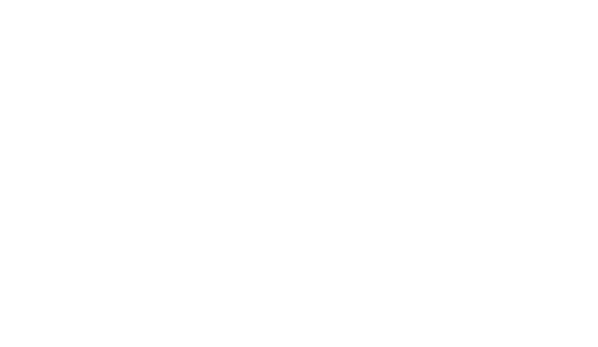 BONA Logo