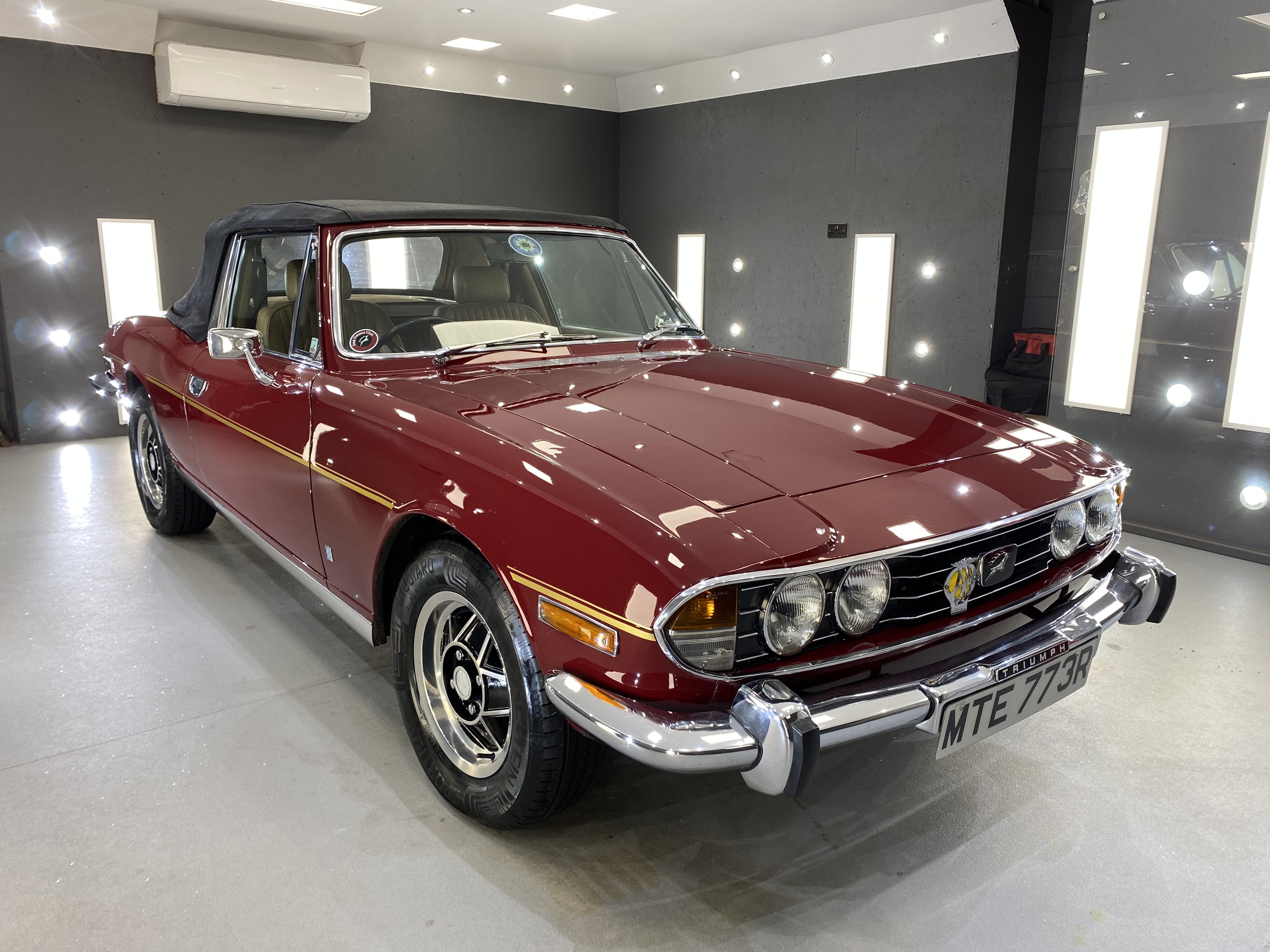Classic burgundy Triumph in studio