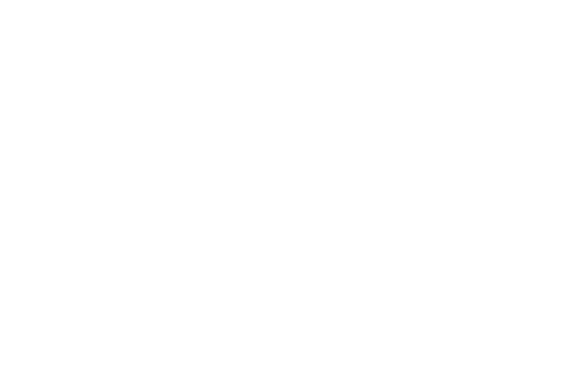 Mental Detox Logo