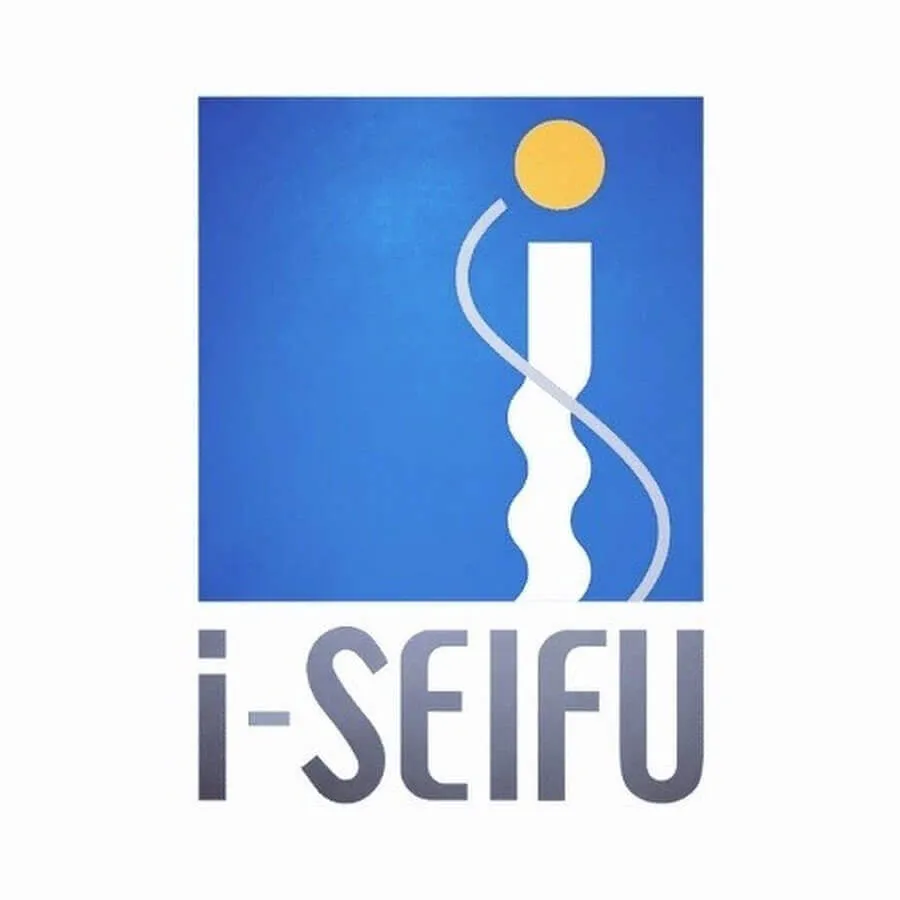 Seifu Institute of Information Technology