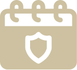 event security icon