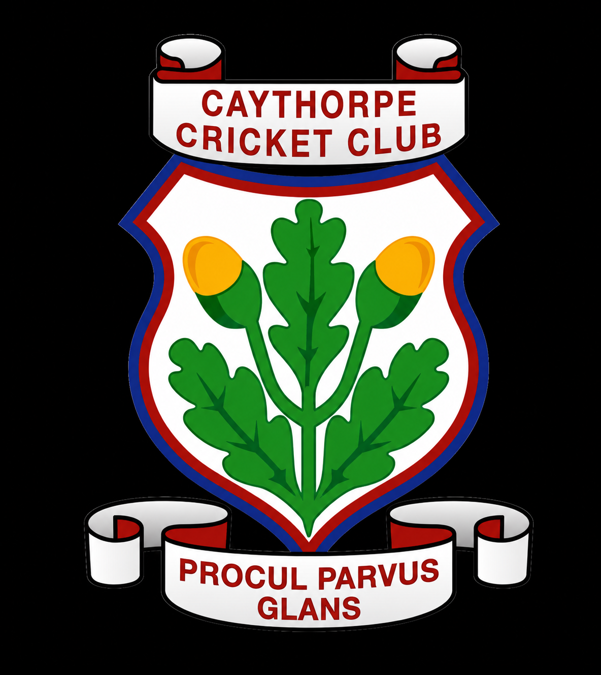 Caythorpe Cricket Club