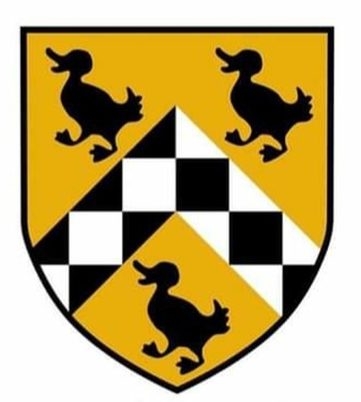 Duck Shield