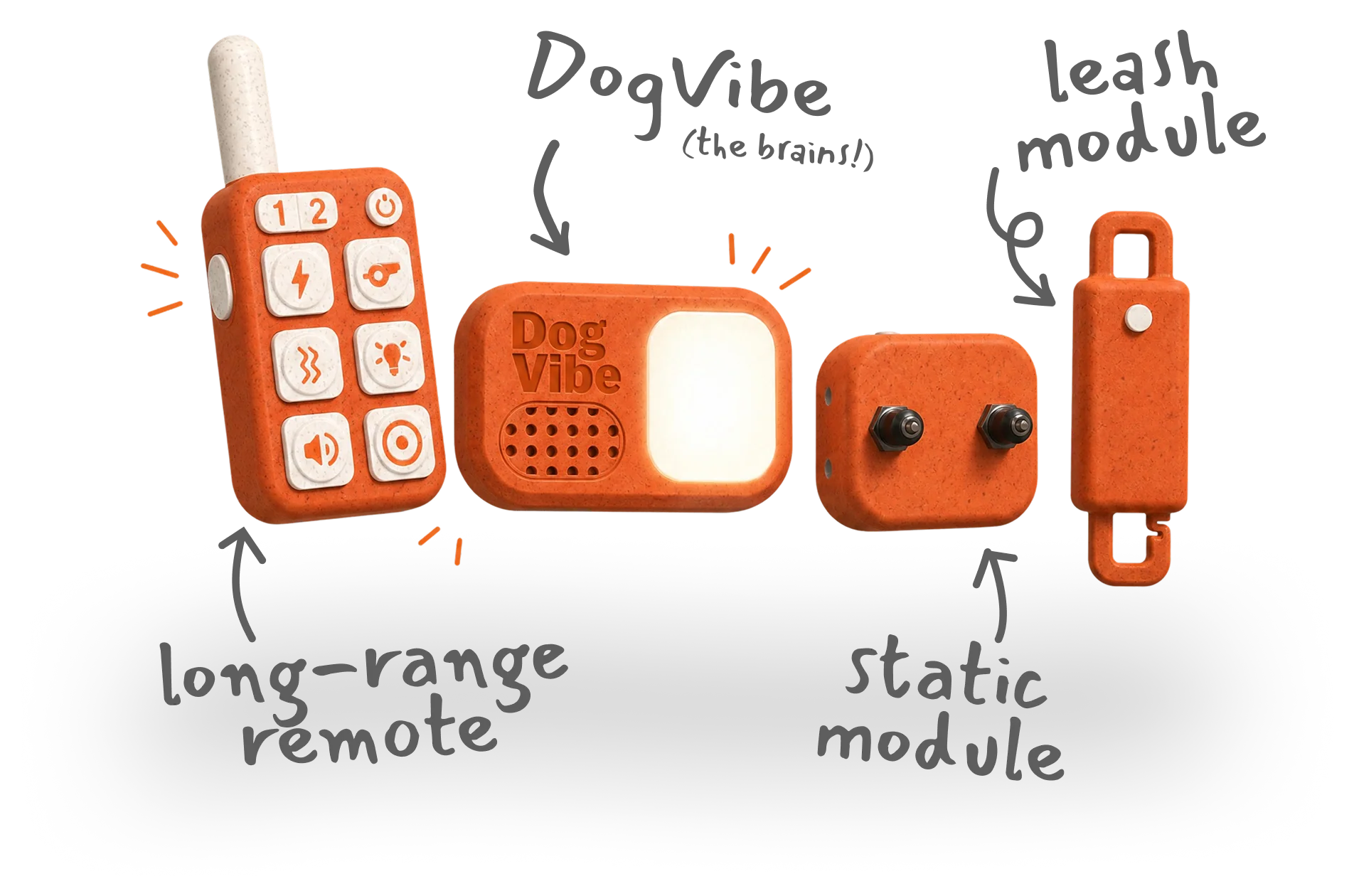 DogVibe system in use - collar, remote, and phone app