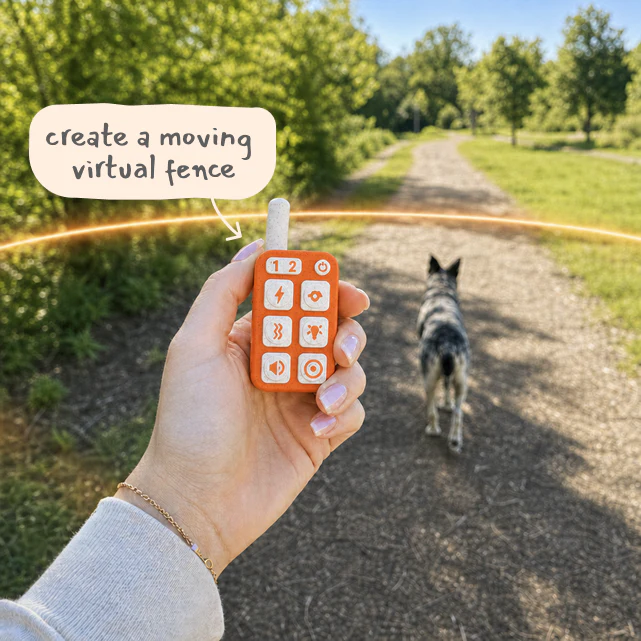 Long-Range Remote creating a moving virtual fence
