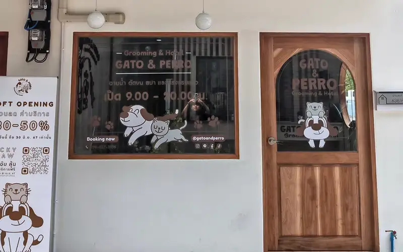 Gato & Perro · Sathon