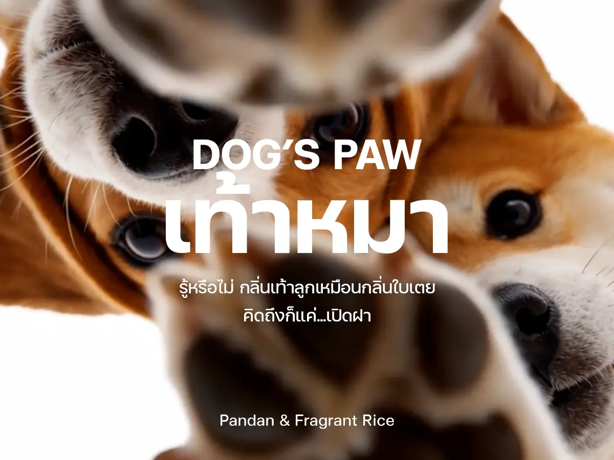 กลิ่นเท้าหมา