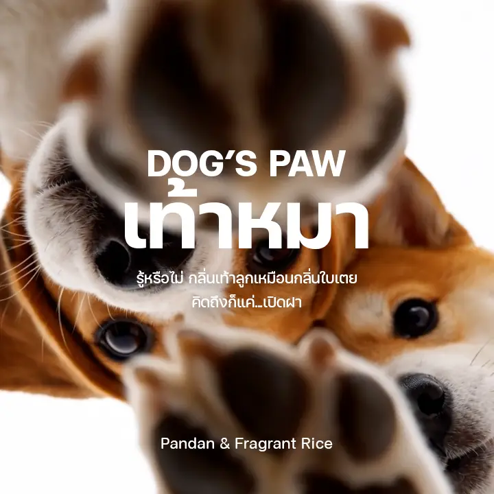 Dog's Paw