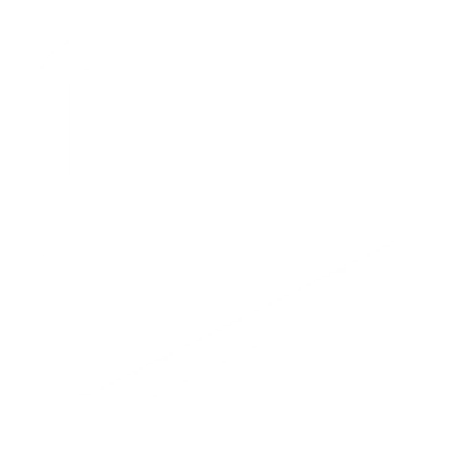 Play Icon