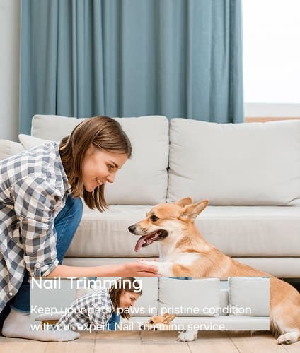 Esterilización